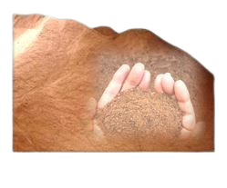 POM 001 Removebg Preview