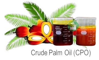 POM 002 Removebg Preview